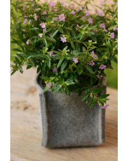 Haunold felt box high, ideal as flowerpot, handmade in South Tyrol